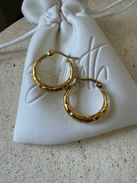 Amy Hooped earrings